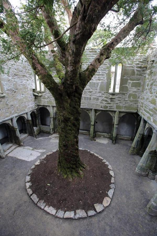 Courtyard Apartments Killarney Exterior foto